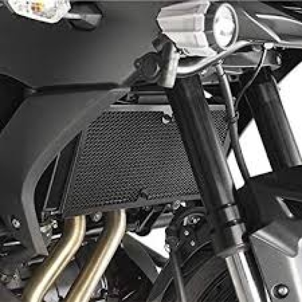 R&G RADIATOR GUARD VERSYS 650 2016